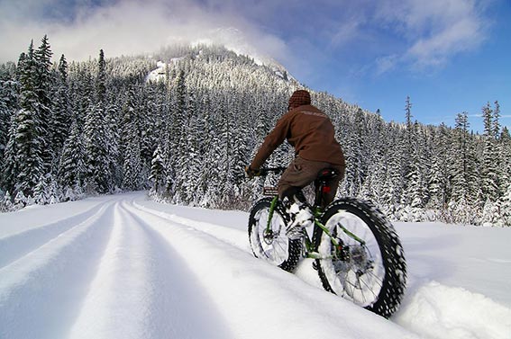 Велосипеди за сняг и пясък